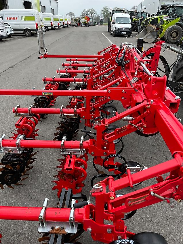 Einböck ROLLSTAR EMR 8 -reiher Rollsternhackgerät, Maishacke