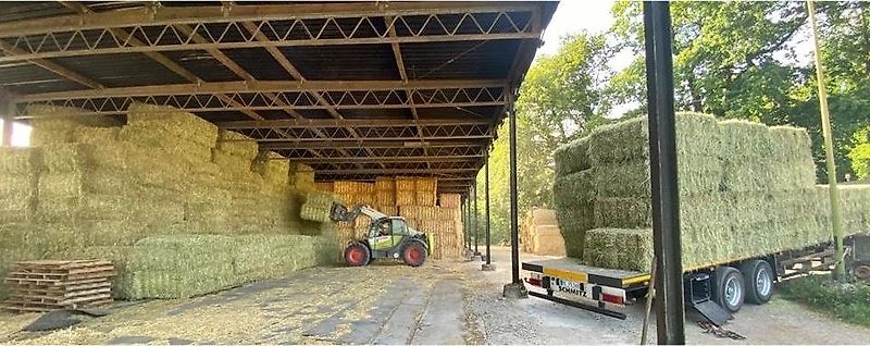 Heu, Pferdefutter, HD Kleinballen, Bio Heu, Heulage