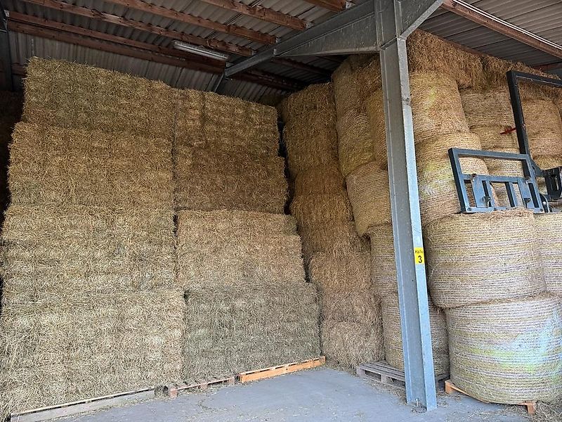 Heu, Pferdefutter, HD Kleinballen, Bio Heu, Heulage