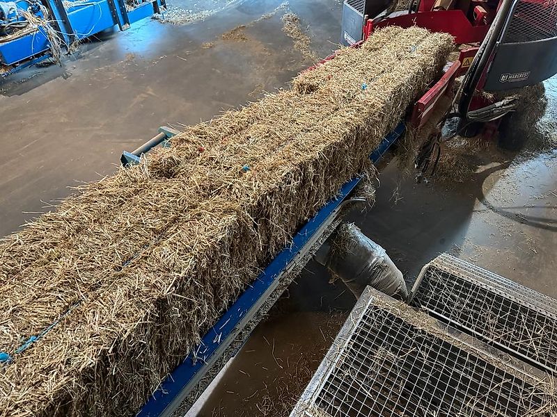 Heu, Pferdefutter, HD Kleinballen, Bio Heu, Heulage