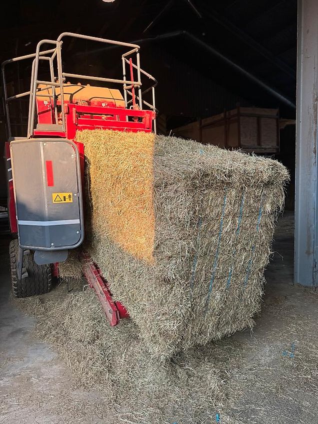 Heu, Pferdefutter, HD Kleinballen, Bio Heu, Heulage