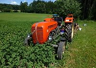 Steyr 288 Steyr 288